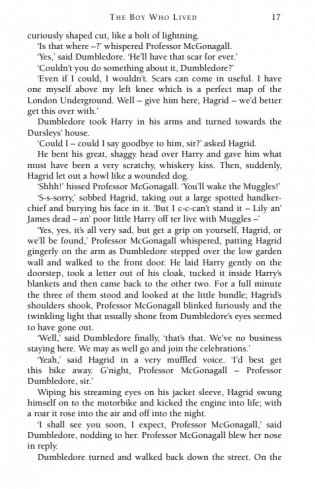 Harry Potter and the Philosopher's Stone фото книги 12