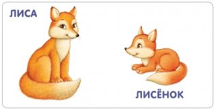 Книжки - картонки. Животные и детёныши фото книги 3