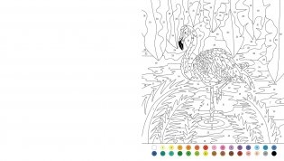 Animal colour by numbers фото книги 2
