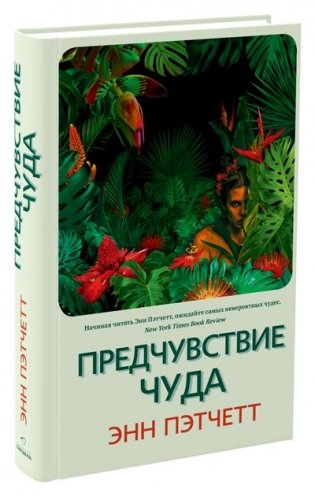 Предчувствие чуда фото книги