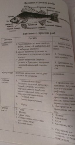Биология в таблицах и схемах для школьников и абитуриентов фото книги 6