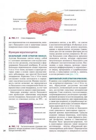 Косметическая дерматология. Принципы и практика. Руководство фото книги 3