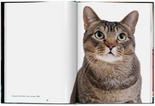 Walter Chandoha. Cats. Photographs 1942-2018 фото книги 3