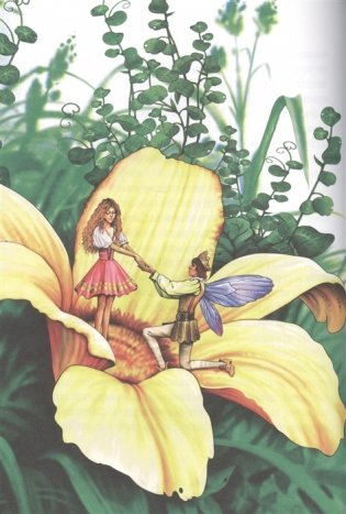 Сказки Г.Х. Андерсена фото книги 6