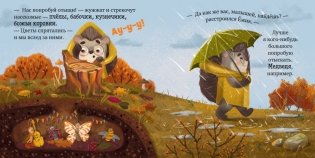 Книжки-картинки. Ёжик и золотая осень фото книги 5