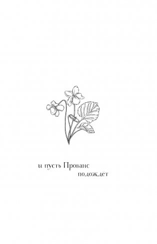 Волшебное лето во Франции. Замки, фиалки и вишневый пирог фото книги 2