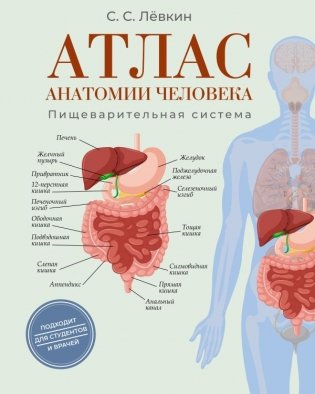 Атлас анатомии человека. Пищеварительная система фото книги