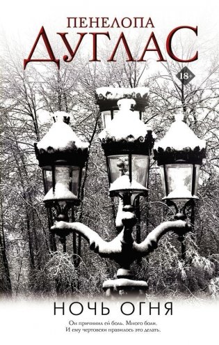 Ночь Огня фото книги
