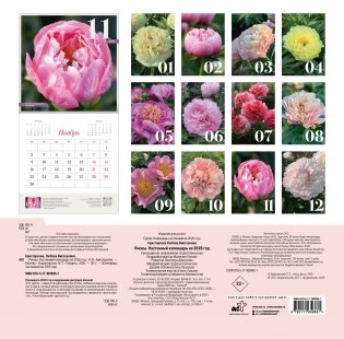 Пионы. Настенный календарь на 2026 год фото книги 4