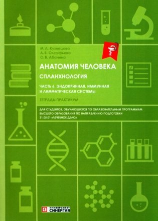 Анатомия человека. Спланхнология. Часть 6. Эндокринная система, иммунная и лимфатическая системы. Тетрадь-практикум фото книги