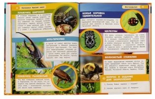 Насекомые Красной книги. Энциклопедия с заданиями фото книги 4