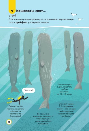 Подводный мир фото книги 13