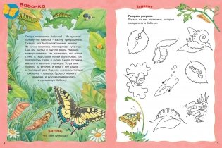 Кто живёт на опушке? Книжка-активити с развивающими заданиями, головоломками, наклейками фото книги 3