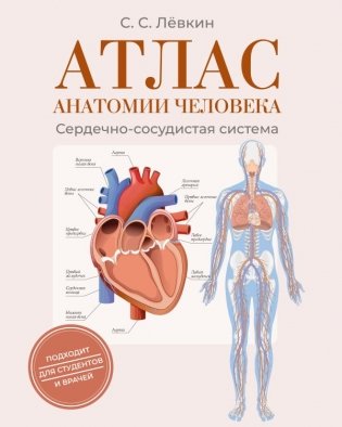 Атлас анатомии человека. Сердечно-сосудистая система фото книги