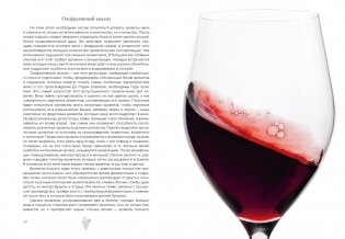 Маленькая книга гурмана. Вино фото книги 6