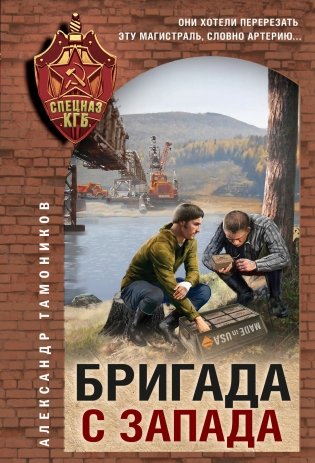 Бригада с запада фото книги