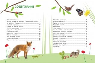 Животные. Энциклопедия для первого чтения с крупными буквами фото книги 2