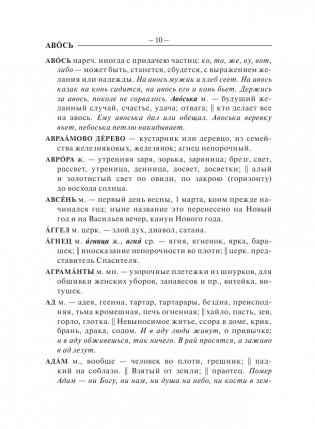 Толковый словарь русского языка фото книги 11