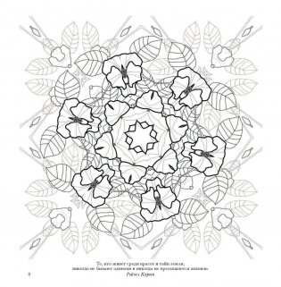 Флоросфера. Умиротворение фото книги 7