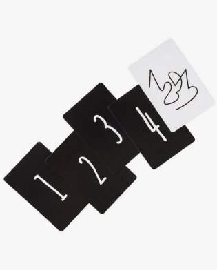 Дэни едет в Голливуд. И крышей тоже фото книги 8