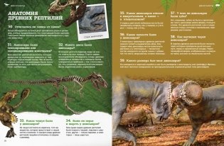 Динозавры фото книги 6