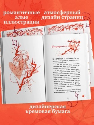 Леди и Бродяга фото книги 4