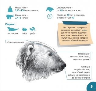 За полярным кругом. Серия "Планета животных" фото книги 4