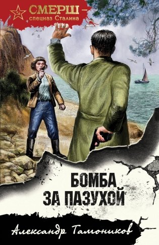 Бомба за пазухой фото книги