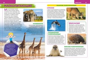 Детская энциклопедия для маленьких любознашек фото книги 4