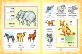 Англо-русский визуальный словарь для детей фото книги 7