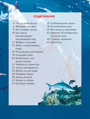 Акулы. Детская энциклопедия фото книги 2