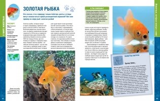 В мире животных. Энциклопедия фото книги 3