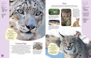 Красочный мир животных. Энциклопедия фото книги 2