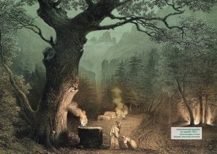 Магия трав и волшебный бестиарий. Сборный комплект из 2-х книг с шоппером фото книги 14