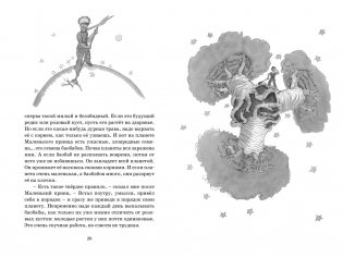 Маленький принц фото книги 3