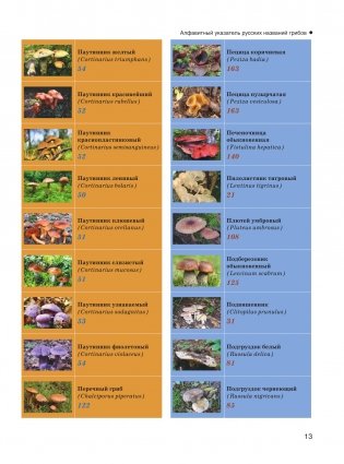 Большая энциклопедия. Грибы. Съедобные и несъедобные. Собираем и готовим. фото книги 14