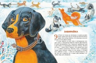 Усы, перья и хвосты. Рассказы русских писателей о животных (ил. М. Белоусовой) фото книги 5