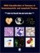 WHO Classification of Tumours of Haematopoietic and Lymphoid Tissues фото книги маленькое 2