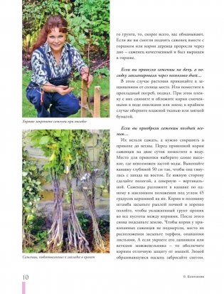 Дачные секреты от Ольги Платоновой фото книги 9