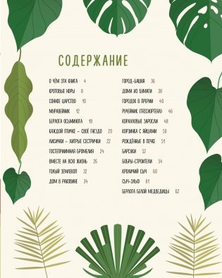 Что внутри? Как устроены дома животных фото книги 2