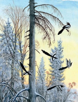 Сказки в рисунках Н. Устинова фото книги 5