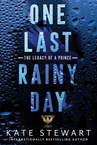 One Last Rainy Day фото книги