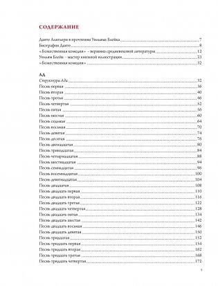 Божественная комедия Данте с илл. Блейка. Комплект с шоппером фото книги 2