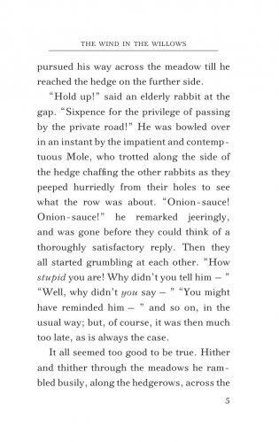 The Wind in the Willows фото книги 6