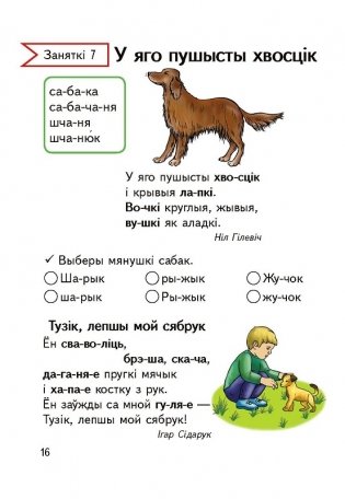 З iмi слаўна забаўляцца, iмi добра любавацца. Факультатыўныя заняткi "Вытокi роднай мовы". 1 клас. Рабочы сшытак фото книги 3