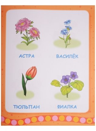 Первая книга малыша фото книги 7