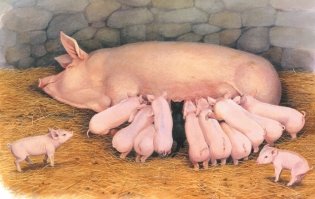 Детям. Рассказы о животных фото книги 6