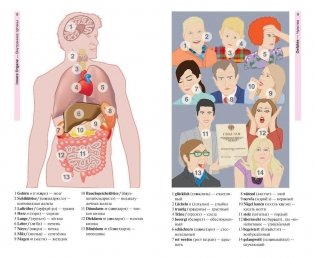 Немецкий язык в картинках. 1500 самых употребительных слов на каждый день фото книги 6