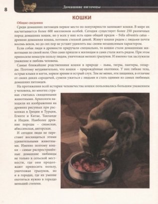 Энциклопедия. Домашние питомцы фото книги 3