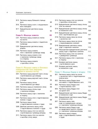 Анатомия стретчинга. Большая иллюстрированная энциклопедия фото книги 5